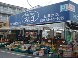 写真：マルゴ㈱