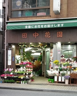 写真：三鷹田中花園　本店