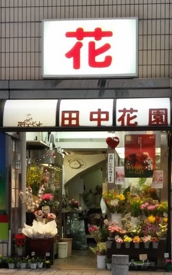写真：三鷹田中花園　支店